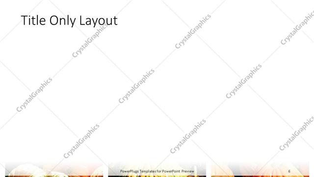 Title Only presentation slide layout