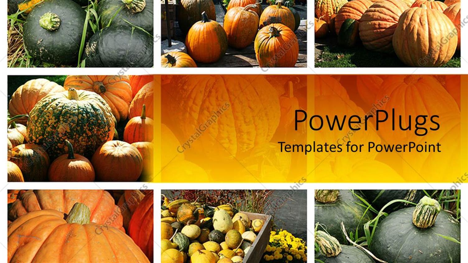 Premium Template for PowerPoint & Google Slides 