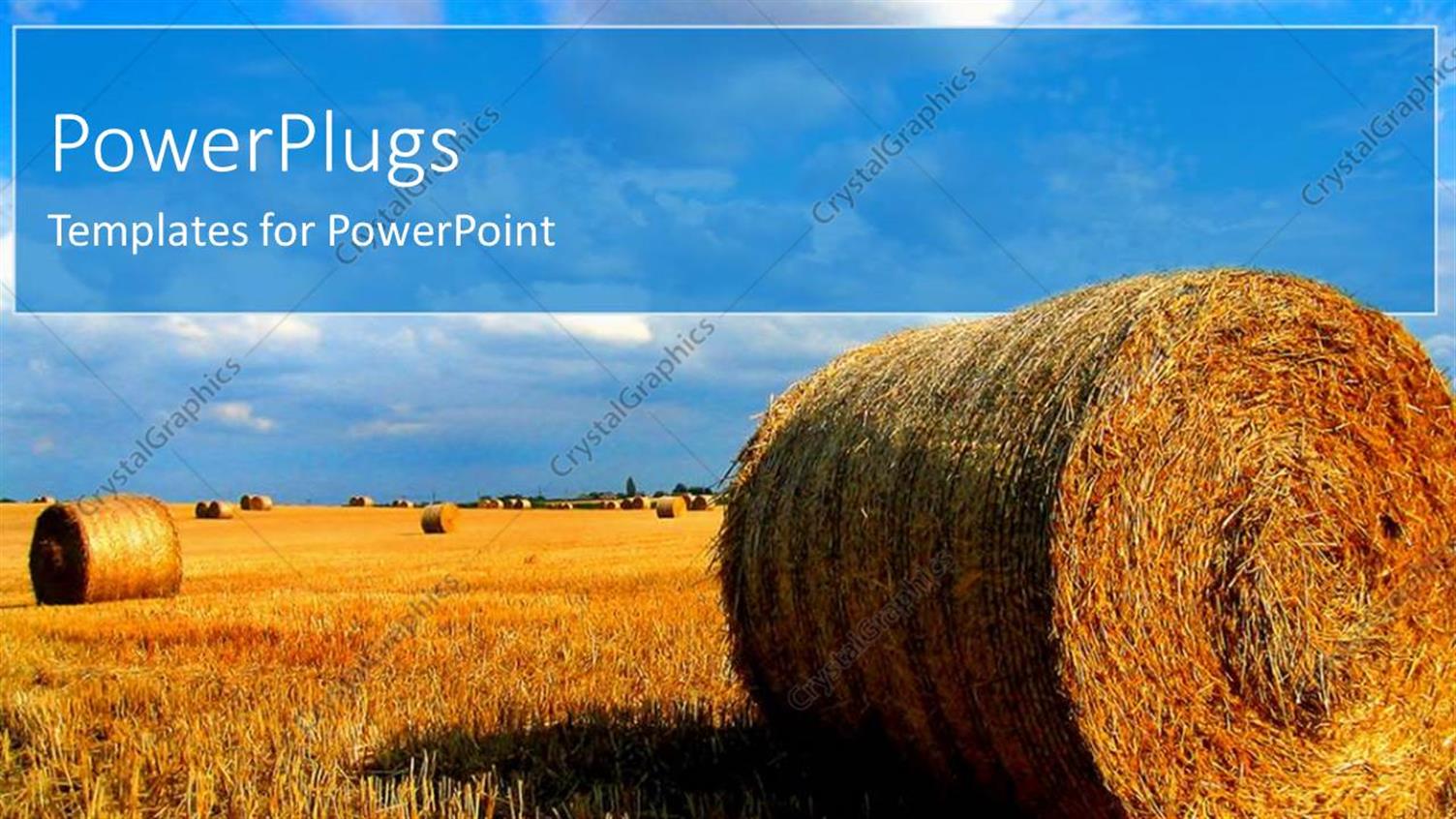 Premium Template for PowerPoint & Google Slides 