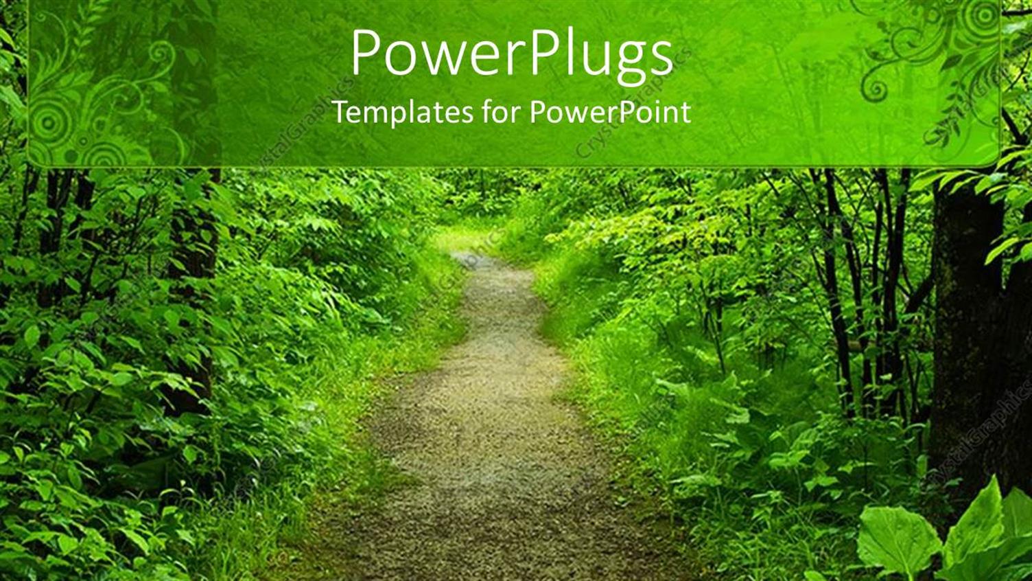 Premium Template for PowerPoint & Google Slides 