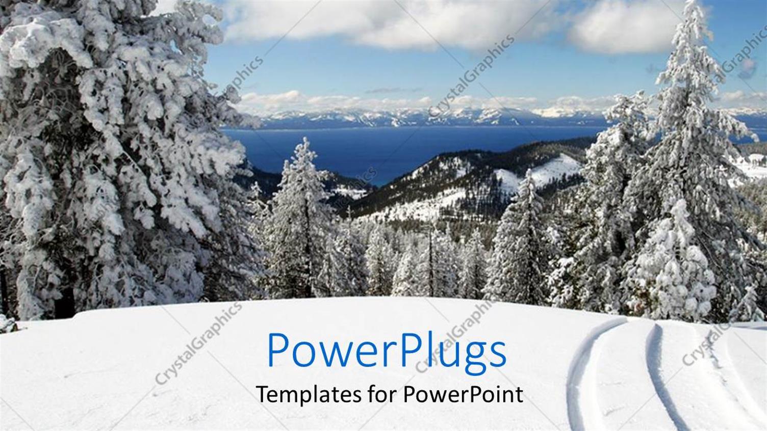 Premium Template for PowerPoint & Google Slides 