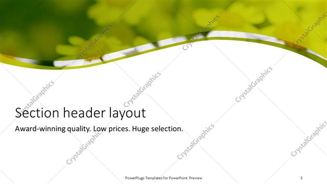 Section Header presentation slide layout
