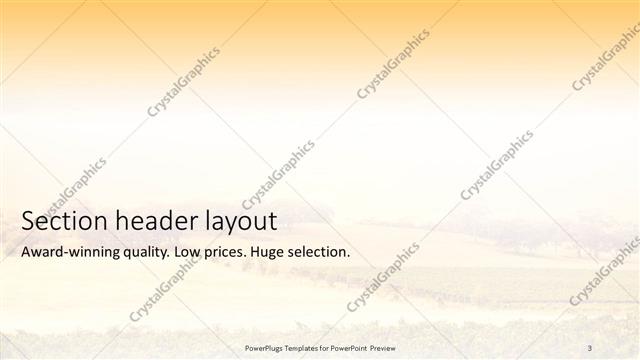 Section Header presentation slide layout