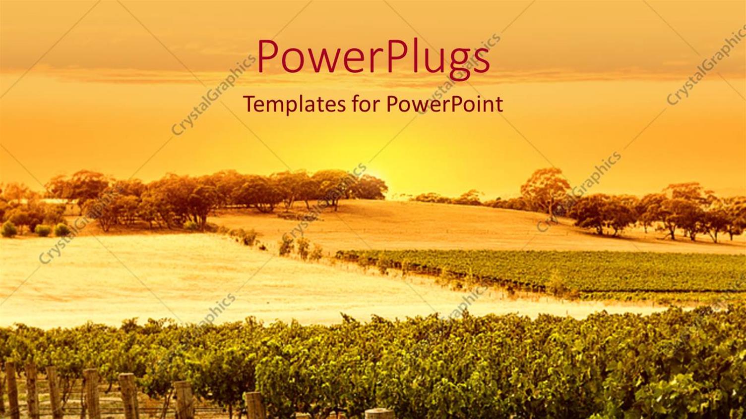 Premium Template for PowerPoint & Google Slides 