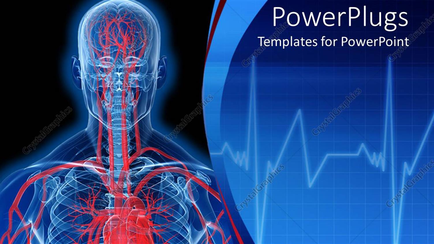 Premium Template for PowerPoint & Google Slides 