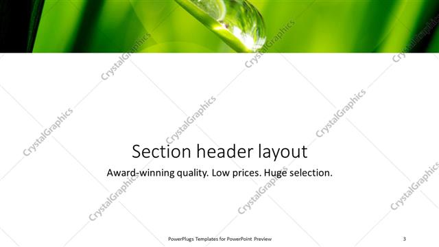 Section Header presentation slide layout