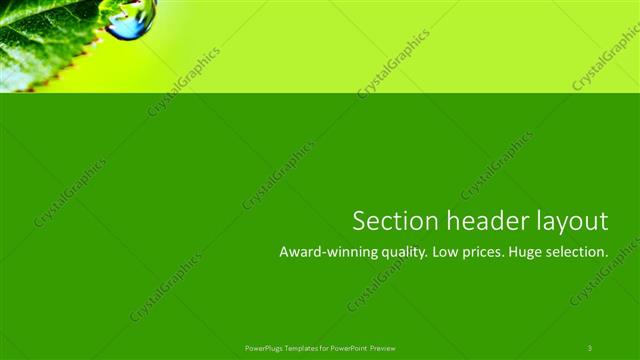 Section Header presentation slide layout