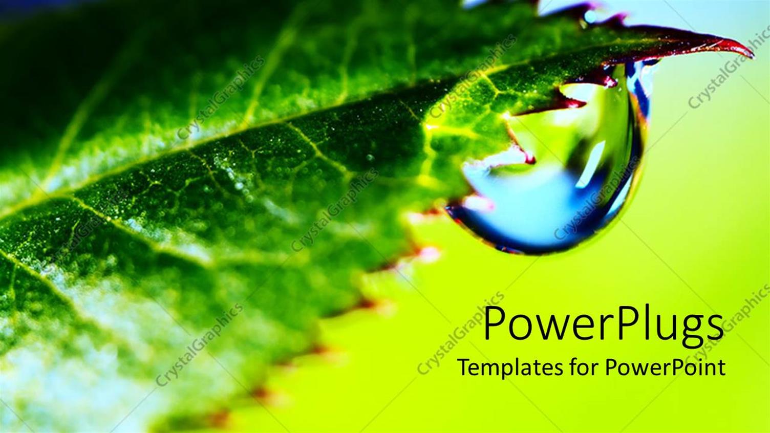 Premium Template for PowerPoint & Google Slides 