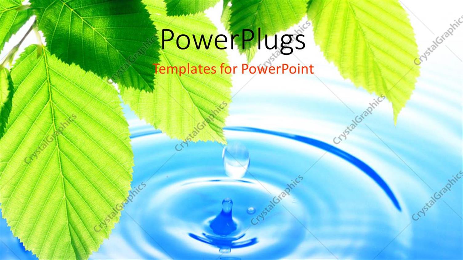 Premium Template for PowerPoint & Google Slides 