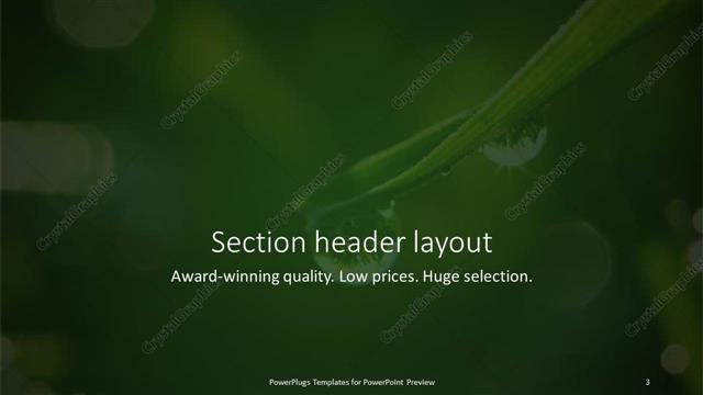 Section Header presentation slide layout
