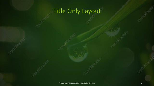 Title Only presentation slide layout