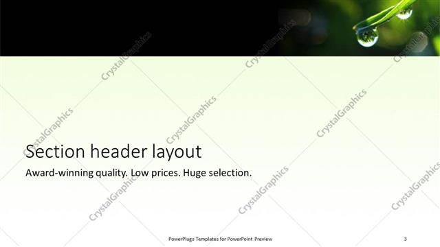 Section Header presentation slide layout