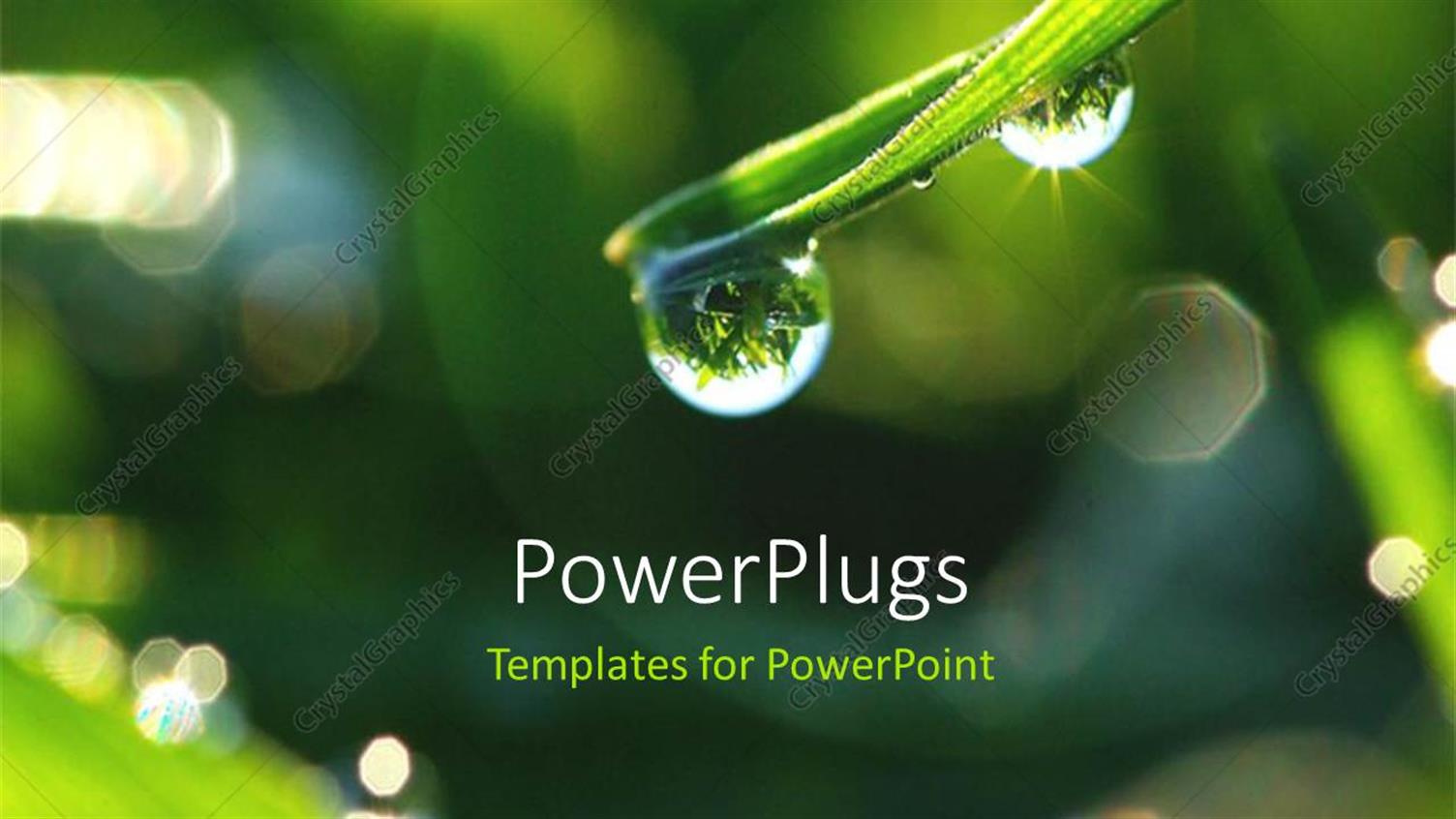 Premium Template for PowerPoint & Google Slides 