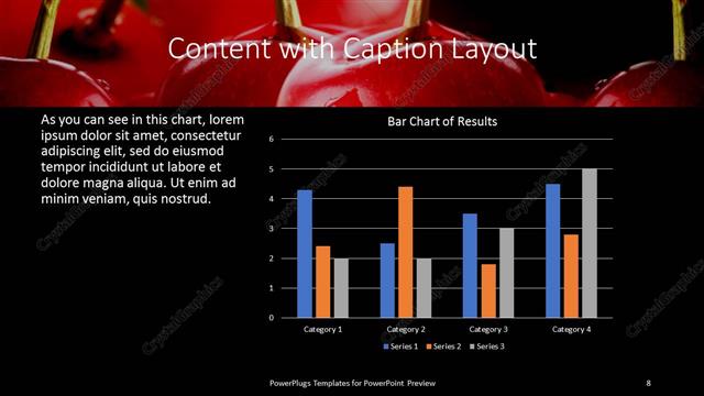 Content with Caption presentation slide layout