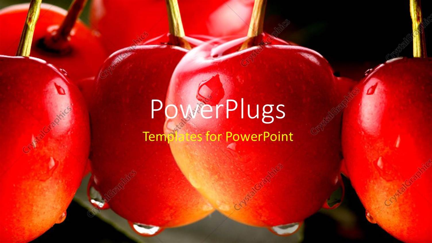 Premium Template for PowerPoint & Google Slides 