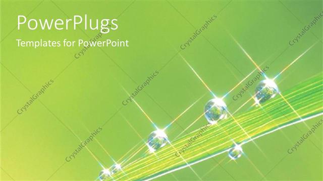  Presentation with green leaf water drops - Water rain dew drops on leaf green plants garden nature