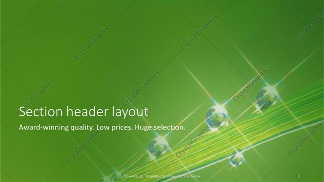 Section Header presentation slide layout