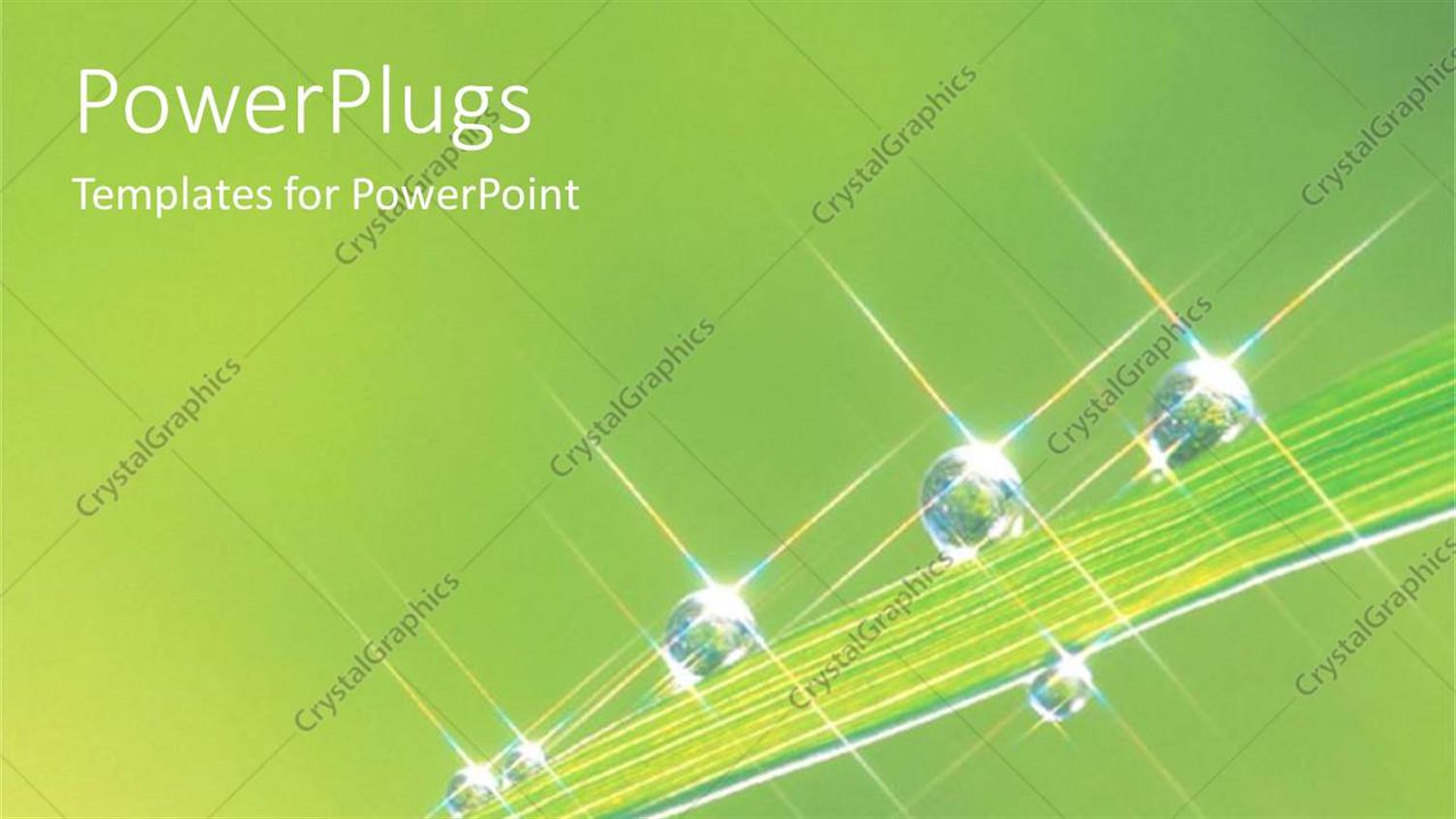 Premium Template for PowerPoint & Google Slides 