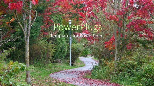  Presentation with trees - A way in the garden with a number of trees