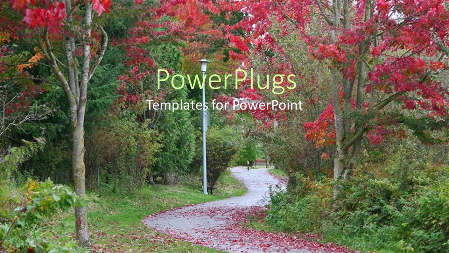 Premium Template for PowerPoint & Google Slides 