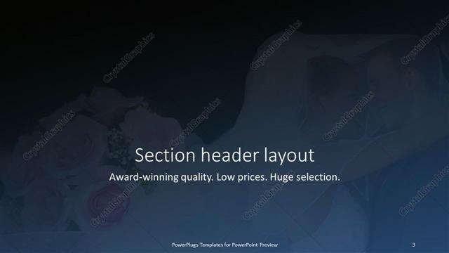 Section Header presentation slide layout