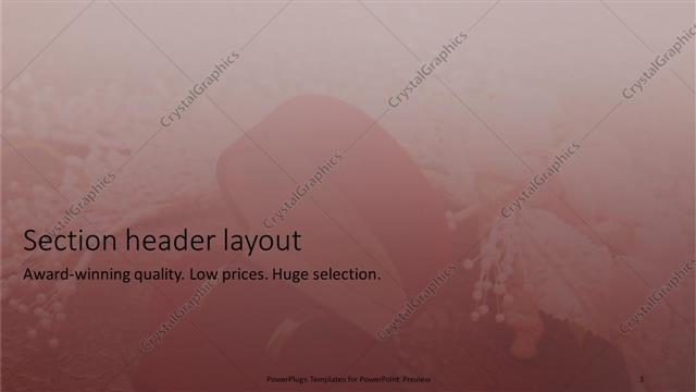 Section Header presentation slide layout