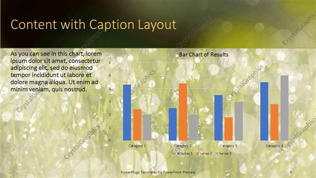 Content with Caption presentation slide layout