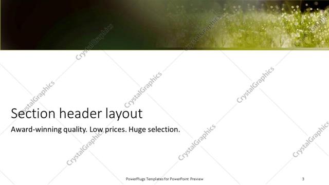 Section Header presentation slide layout