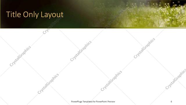 Title Only presentation slide layout