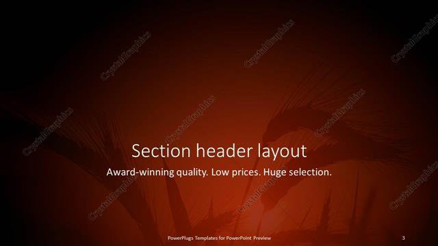 Section Header presentation slide layout