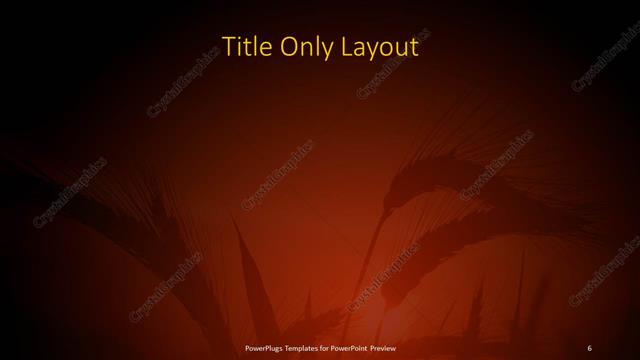 Title Only presentation slide layout