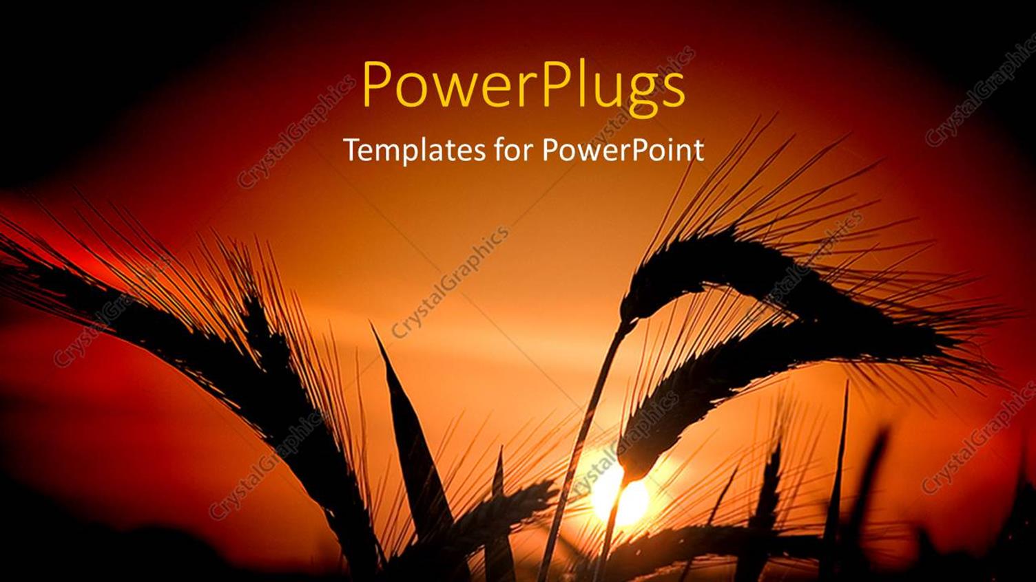 Premium Template for PowerPoint & Google Slides 