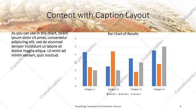 Content with Caption presentation slide layout