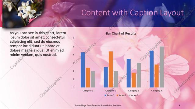 Content with Caption presentation slide layout