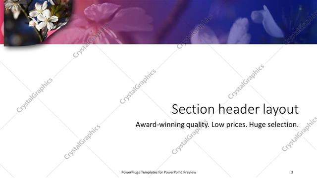 Section Header presentation slide layout