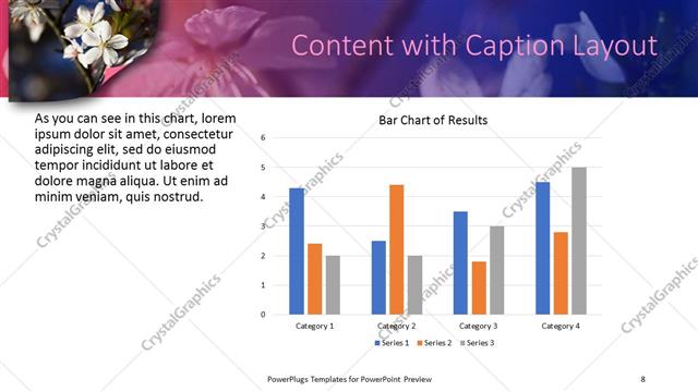 Content with Caption presentation slide layout