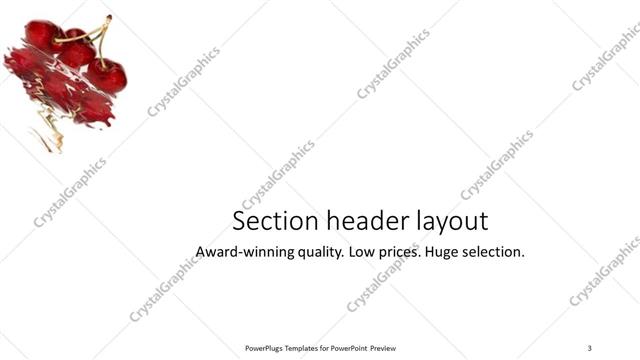 Section Header presentation slide layout