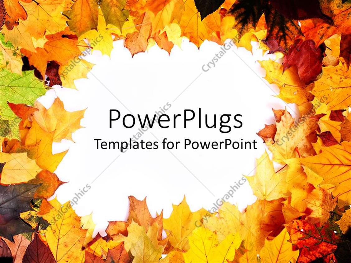 PowerPoint Template White background framed by colorful autumn leaves (2368)