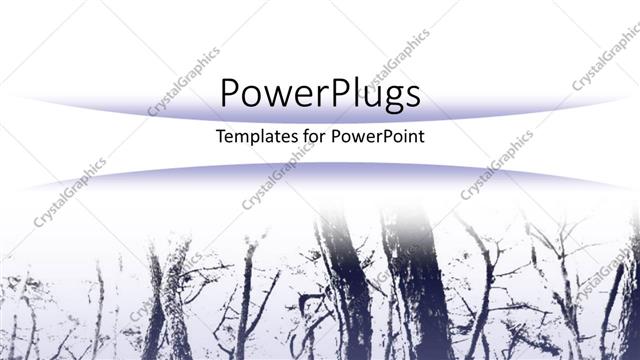  Presentation with pine trees - White background with trees in a winter morning fog