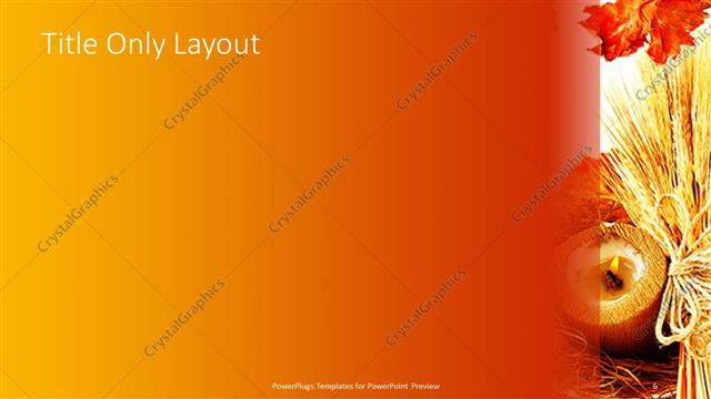 Title Only presentation slide layout