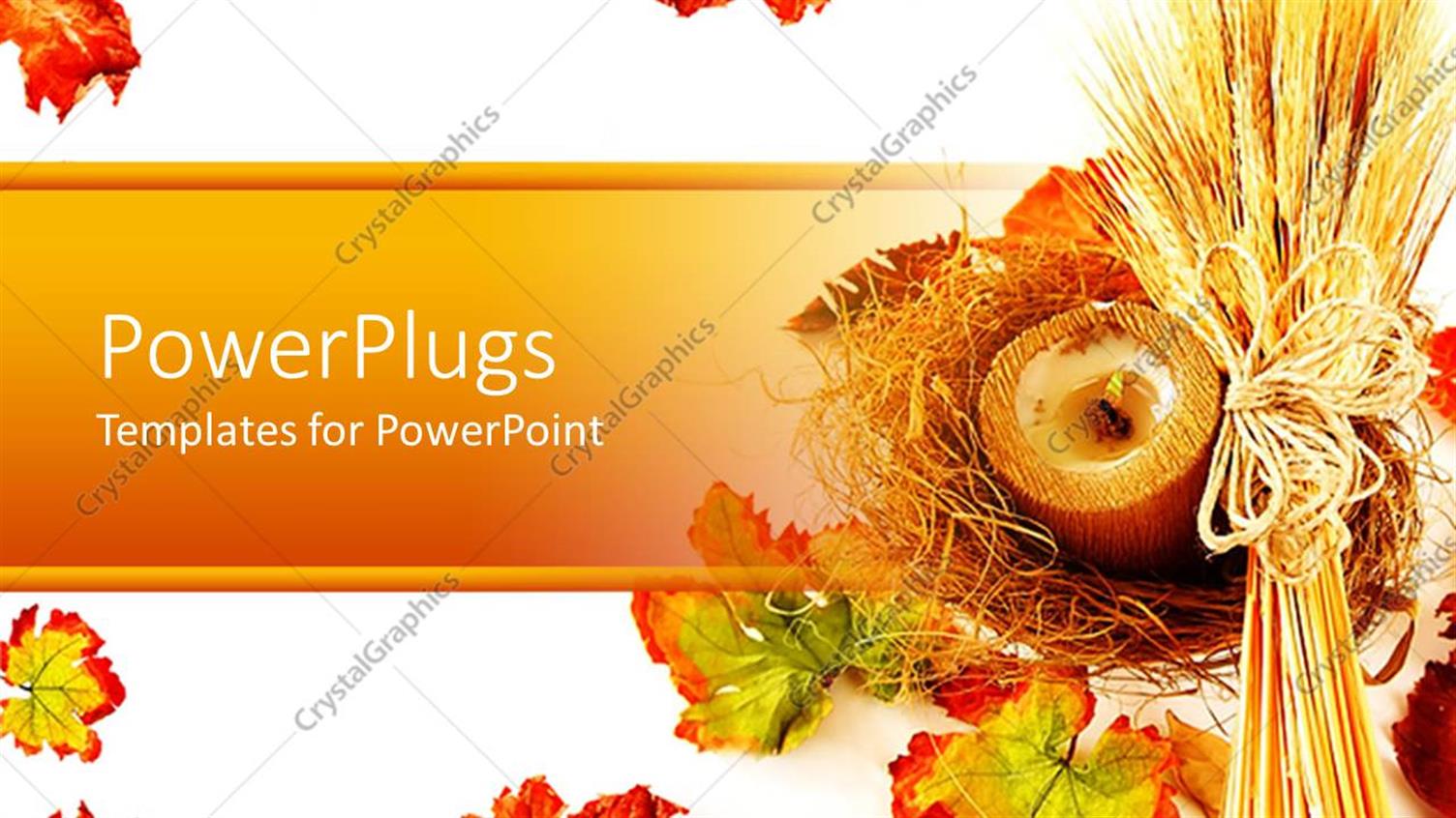 Premium Template for PowerPoint & Google Slides 