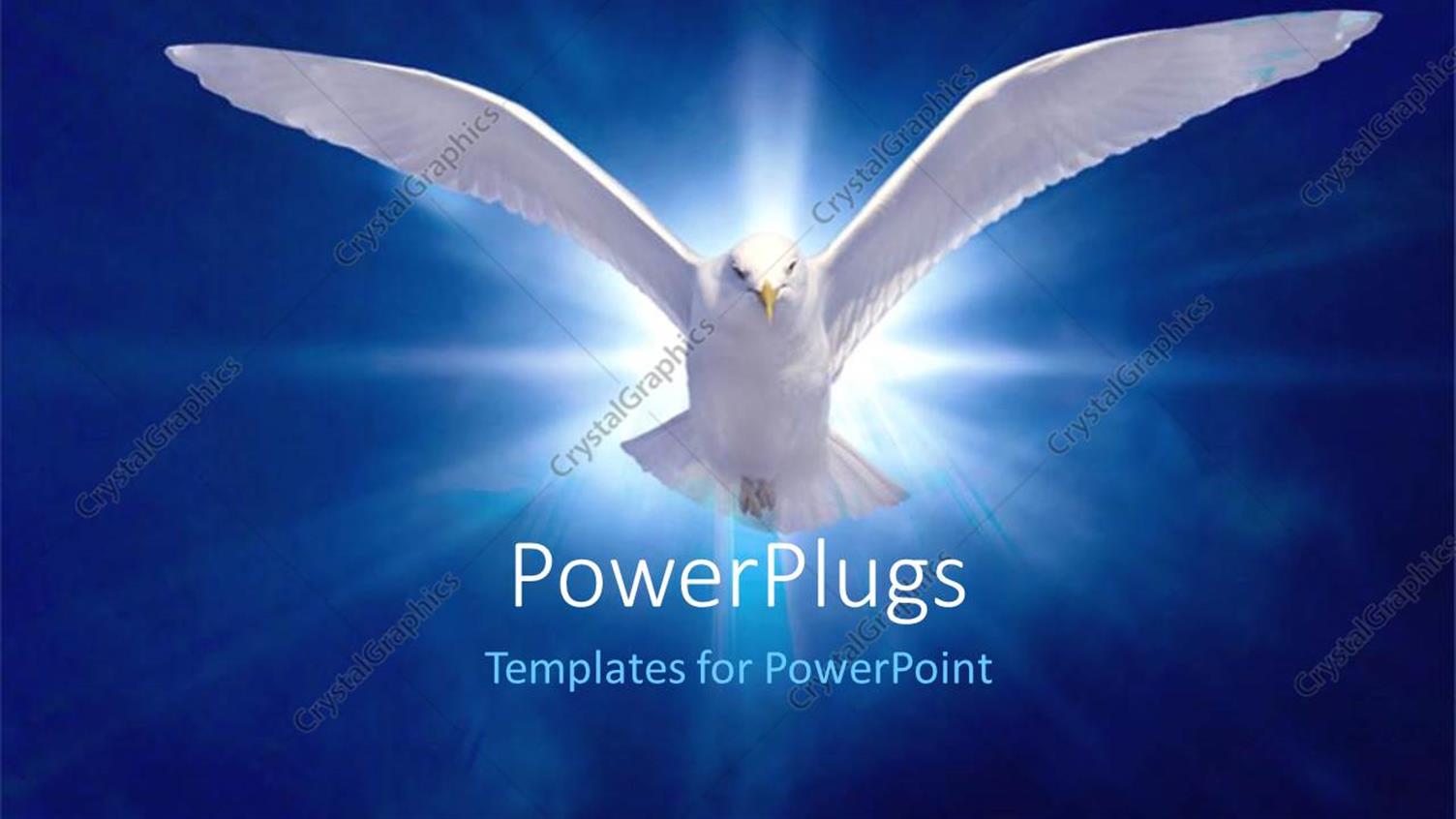 Premium Template for PowerPoint & Google Slides 