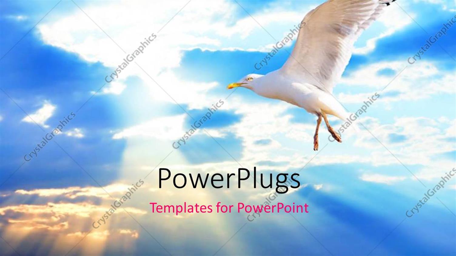 Premium Template for PowerPoint & Google Slides 