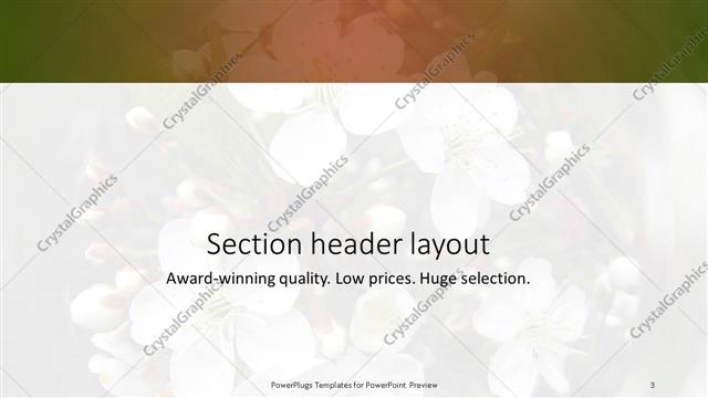 Section Header presentation slide layout