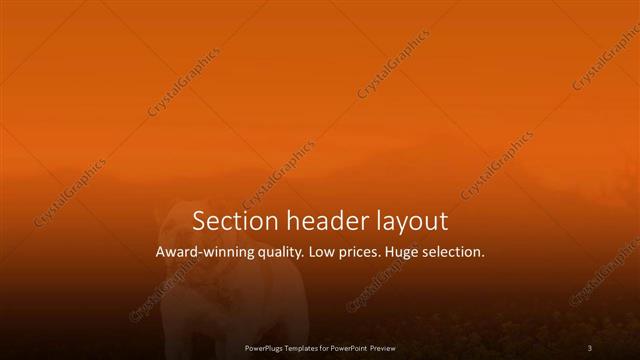 Section Header presentation slide layout
