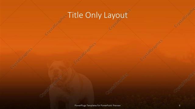 Title Only presentation slide layout