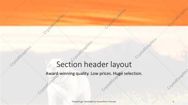 Section Header presentation slide layout