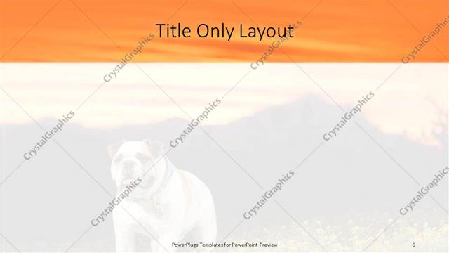 Title Only presentation slide layout