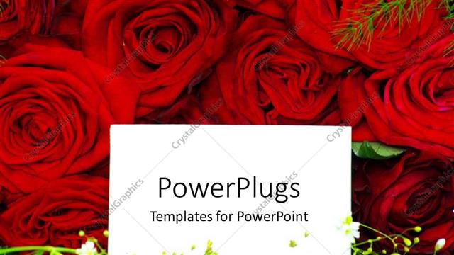  Presentation with roses - White card on red roses laying in green field?