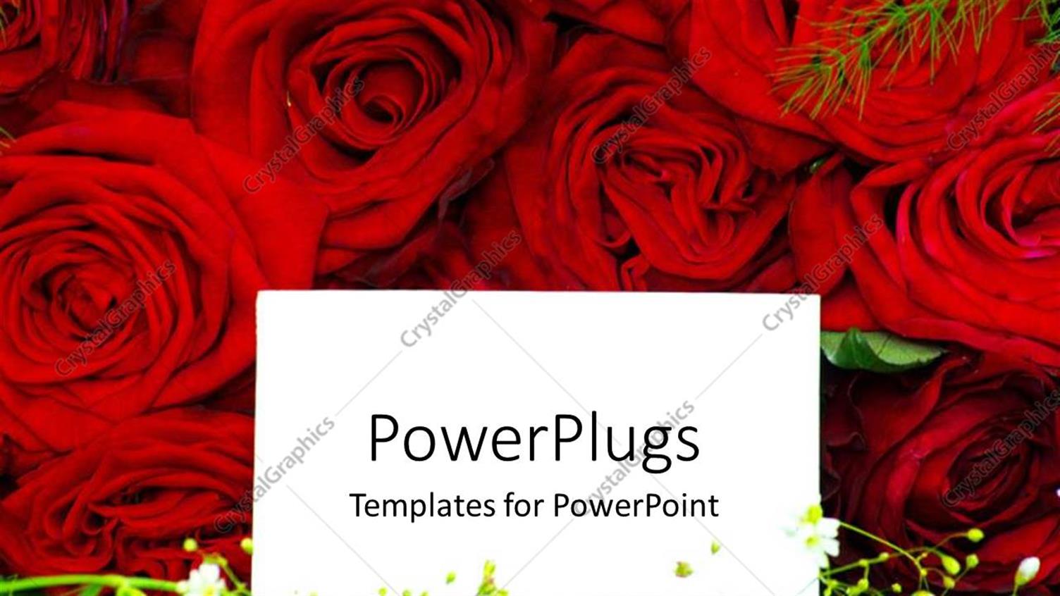 Featuring White Card on Red Roses Laying in Green Field 